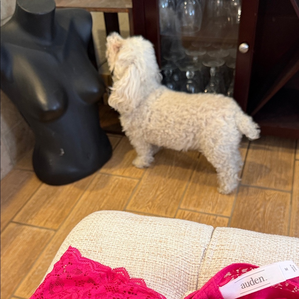 Auden Lace Halter Bralette in Bold Pink - Picture 4 of 6